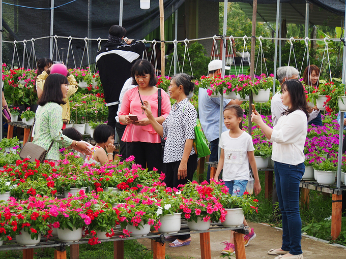 Giải trí ngày xuân
